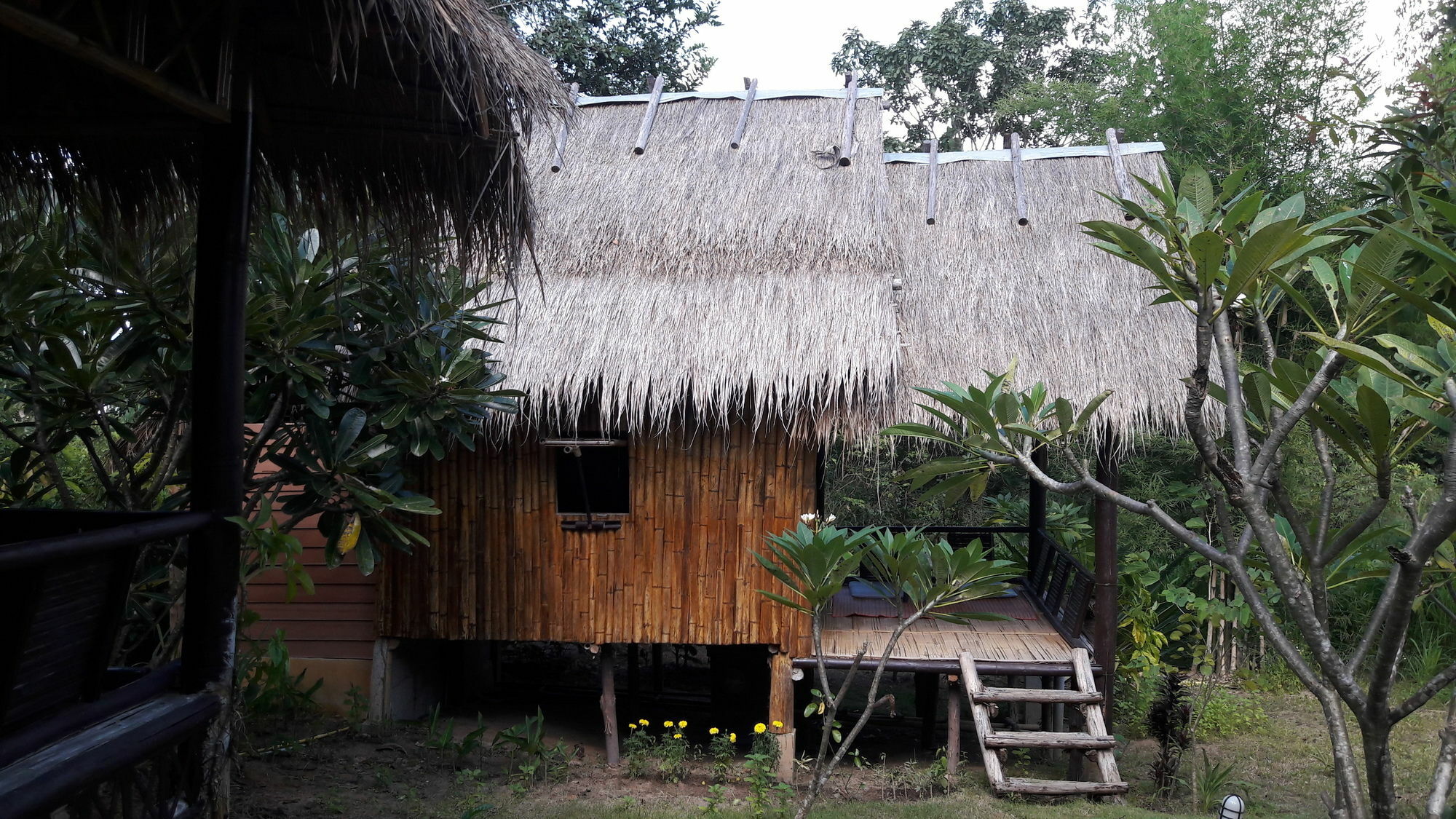 Nusha Homestay 빠이 외부 사진